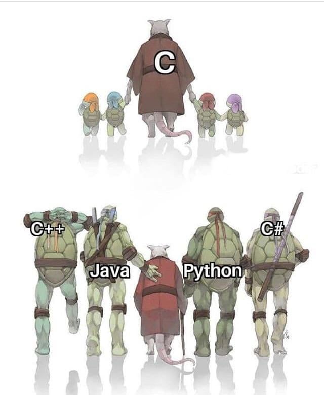 Programming Jokes: C with Other Programming Languages 