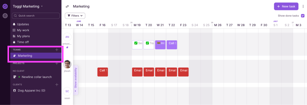 A screenshot showing how to categorize members by skill set in Toggl Plan.