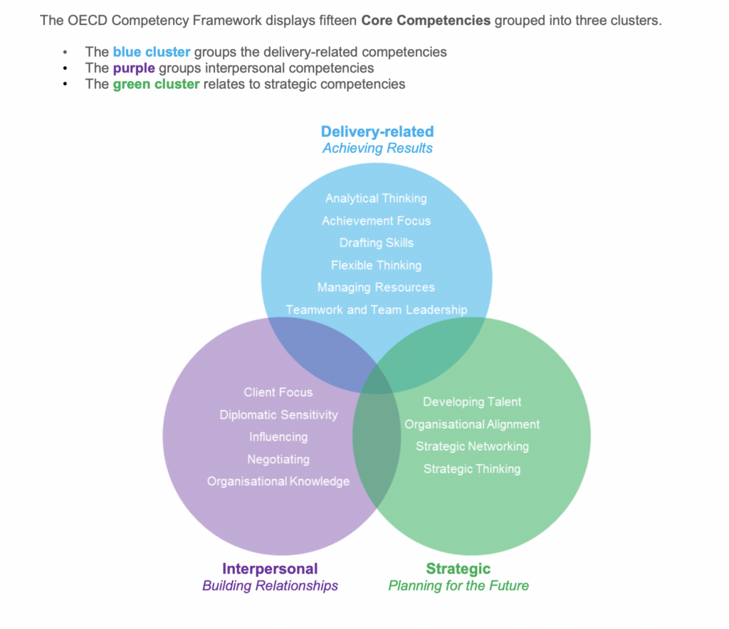 OECD competency framework