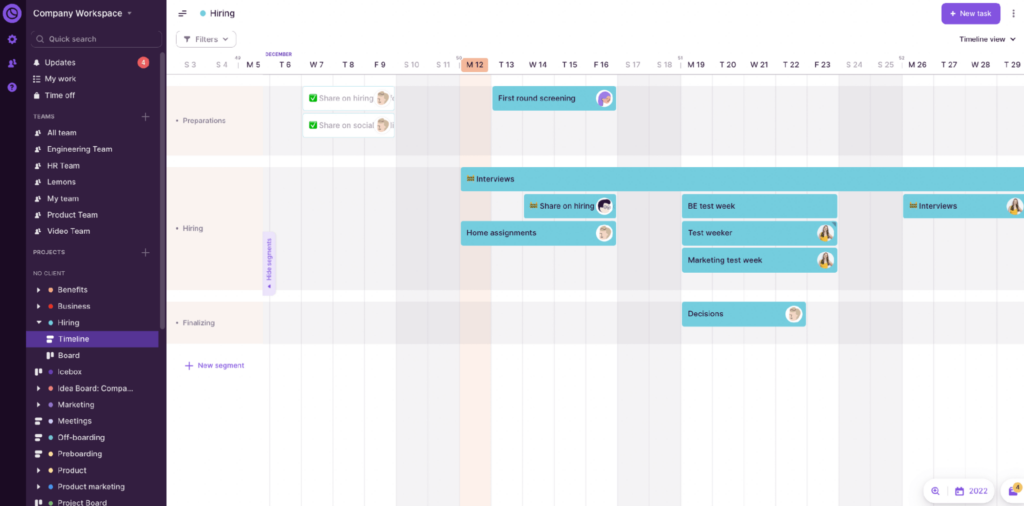 Team Timeline in Toggl Plan