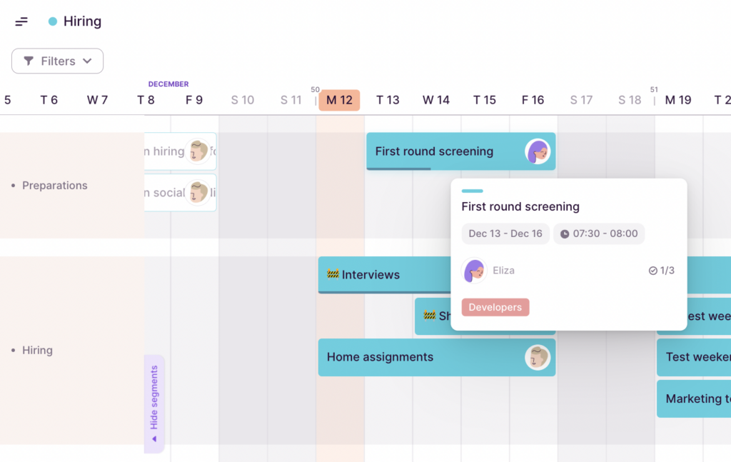Project Timeline view in Toggl Plan.